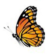butterflymonarch
